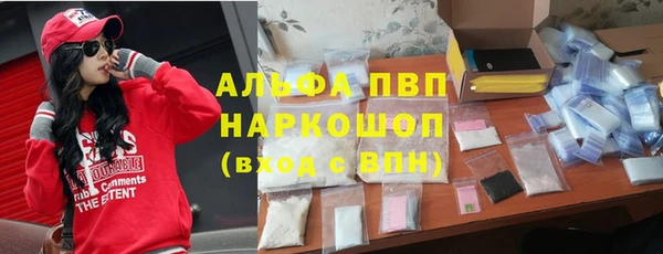 мяу мяу мука Белокуриха