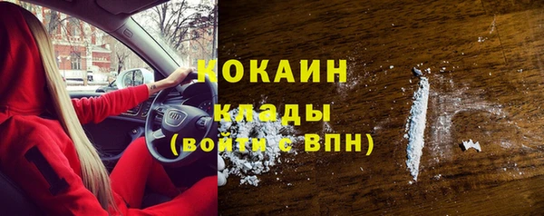 мяу мяу мука Белокуриха