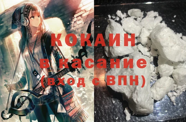 мяу мяу мука Белокуриха