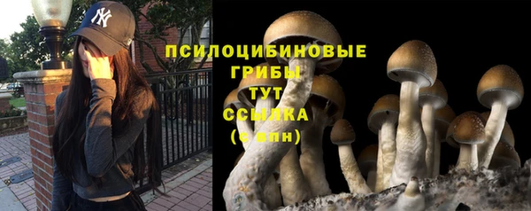 круглые Богородск