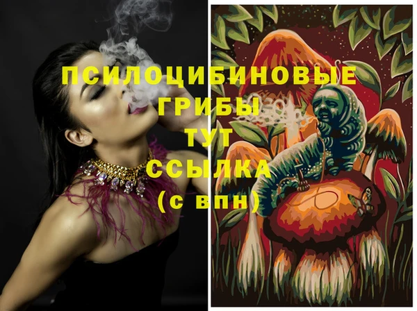 мяу мяу мука Беломорск