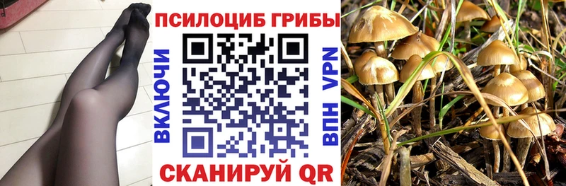 наркота Сланцы Галлюциногенные грибы Magic Shrooms