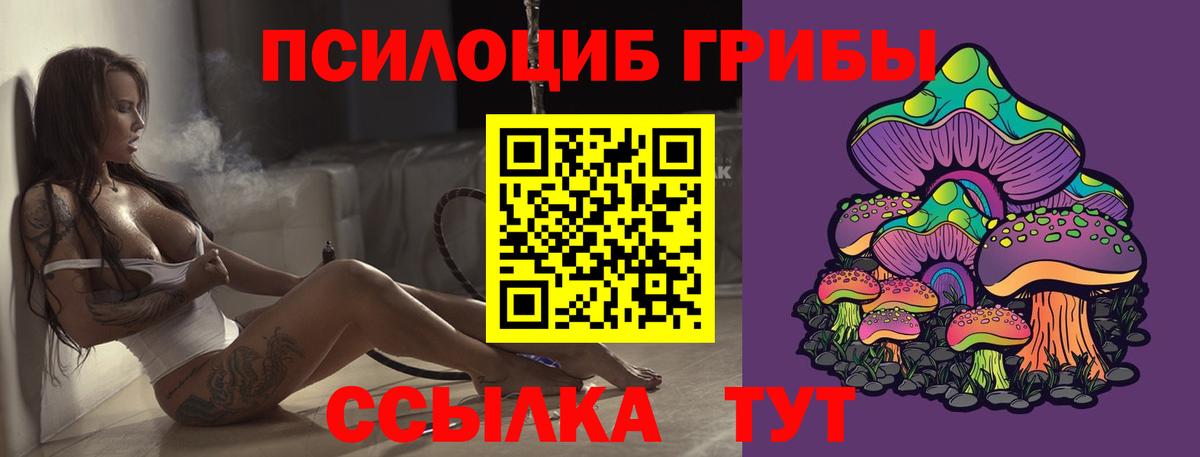 Сланцы  Галлюциногенные грибы Magic Shrooms  Вход с VPN 